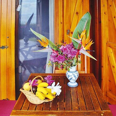Holiday Homes Quinta Dos Curubas, Vila Franca Do Campo, Sao Miguel, Azores Zewnętrze zdjęcie