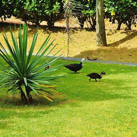 Holiday Homes Quinta Dos Curubas, Vila Franca Do Campo, Sao Miguel, Azores Zewnętrze zdjęcie