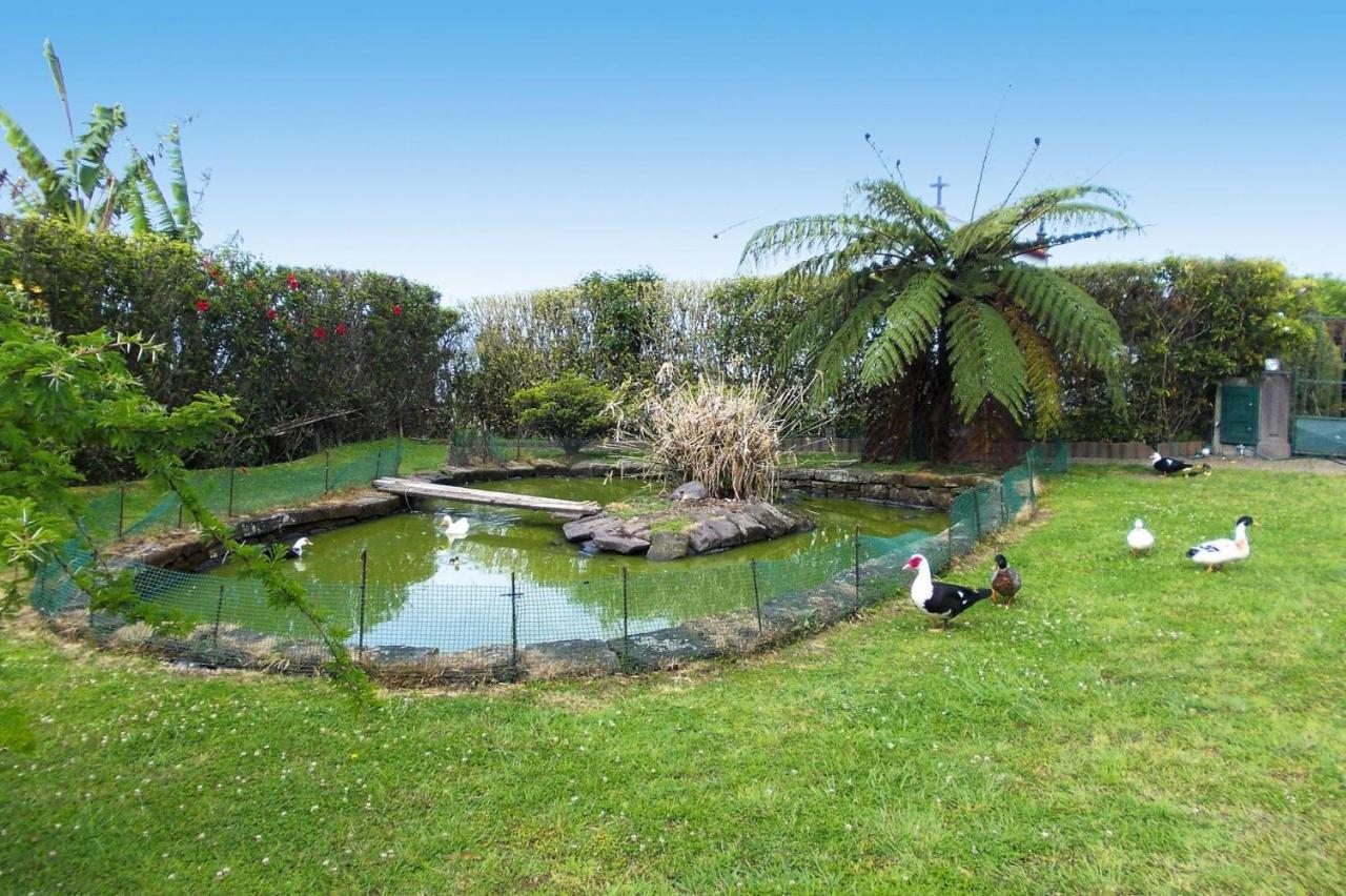 Holiday Homes Quinta Dos Curubas, Vila Franca Do Campo, Sao Miguel, Azores Zewnętrze zdjęcie