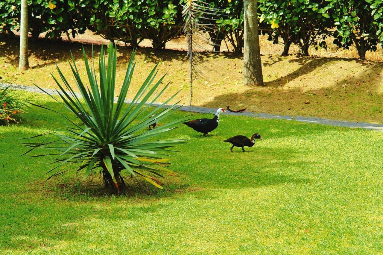 Holiday Homes Quinta Dos Curubas, Vila Franca Do Campo, Sao Miguel, Azores Zewnętrze zdjęcie