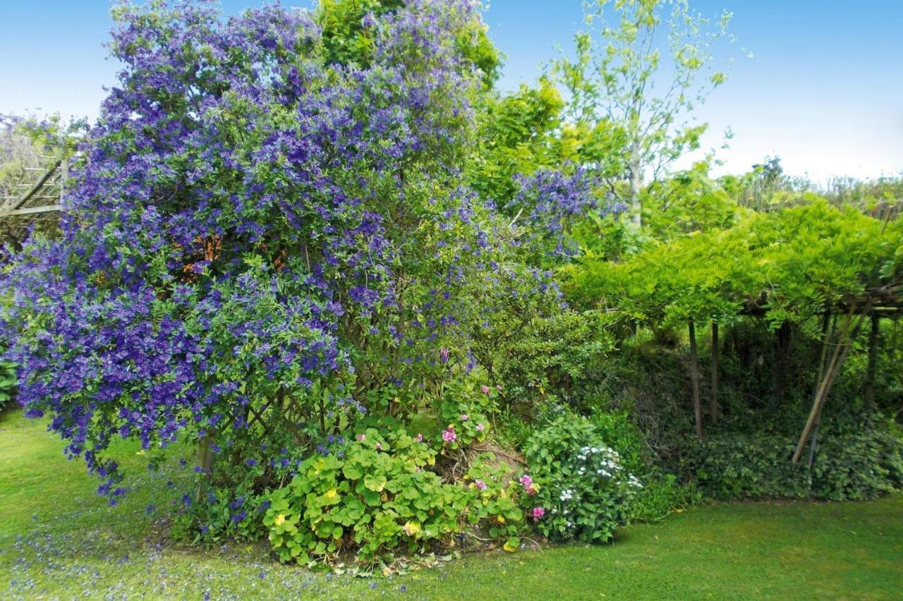 Holiday Homes Quinta Dos Curubas, Vila Franca Do Campo, Sao Miguel, Azores Zewnętrze zdjęcie